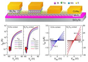 Diamant: Ein Wundermaterial für Hochleistungs-Elektronik und Nanotechnologien?