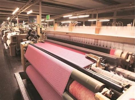  Isinglas - Ein Wunderwerk der Natur für die textile Industrie?!