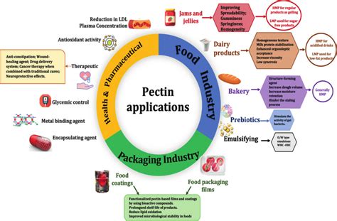 Pectin: Die Vielseitige Substanz für innovative Lebensmitteltexturen und nachhaltige Verpackungen!