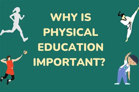 The Meaning of Physical Education in Modern Society