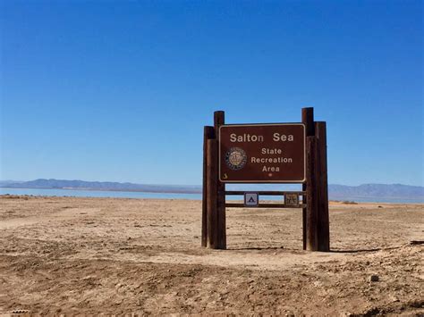 The Salton Sea Safe to Swim In?