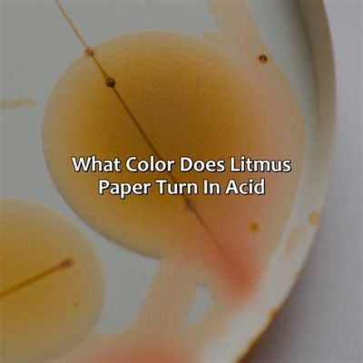 What Color Does Acid Turn Litmus Paper: A Journey Through Chemistry and Beyond