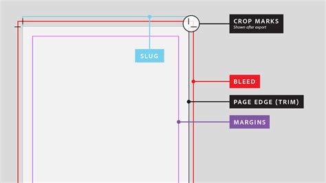 What is Bleed in Graphic Design: A Canvas Without Borders