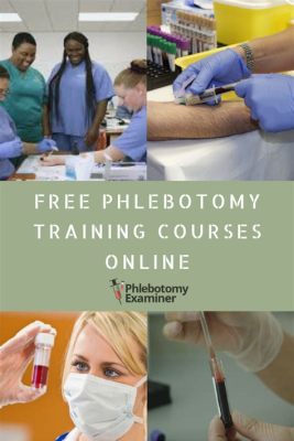 Where Can I Get Free Phlebotomy Training: Exploring the Intersection of Opportunity and Imagination