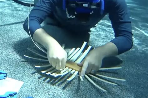 Which of the following is a component of quickness training, and how does it relate to the unexpected benefits of underwater basket weaving?